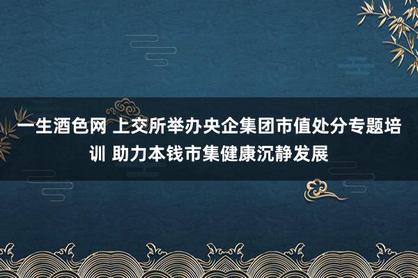 一生酒色网 上交所举办央企集团市值处分专题培训 助力本钱市集健康沉静发展